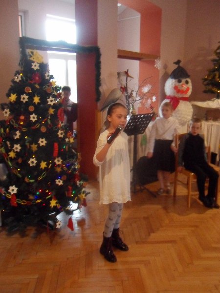 SDC13319 (768x1024).jpg -  